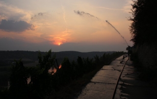 Beregnung im Weinberg