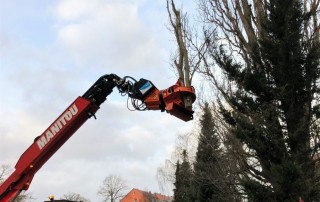 Ein roter Kran hebt einen hohen Baumast an und entfernt ihn, während ein Arbeiter mit Helm darunter steht. Die Szene spielt im Freien in der Nähe einer Mauer und hoher Bäume, mit Gebäuden und bewölktem Himmel im Hintergrund.