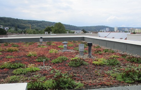 Ein Dachgarten mit grünen und rötlichen Pflanzen, umgeben von einer niedrigen Mauer und mehreren Metallschächten. Im Hintergrund sind Hügel, Bäume und einige Gebäude unter einem bewölkten Himmel zu sehen.