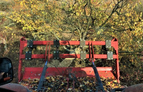 Blick aus dem Führerhaus eines Fahrzeugs auf den mit Herbstlaub bedeckten Frontlader eines Traktors, der in der Nähe eines Baumes mit gelbem Laub steht.