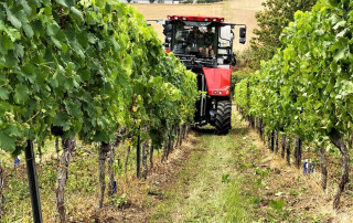 Ein roter Traktor fährt zwischen den Reihen von Weinstöcken auf einem Weinberg, mit üppigen grünen Blättern auf beiden Seiten und Ackerland im Hintergrund unter einem bewölkten Himmel.