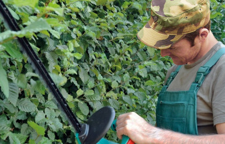 Eine Person mit Tarnkappe und grünem Overall schneidet mit einer elektrischen Heckenschere eine belaubte Hecke und konzentriert sich dabei auf die Arbeit.