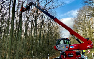 Eine Person in Schutzausrüstung bedient eine Kettensäge in der Spitze eines hohen Baumes, der von einem langen roten Hubwagen an einem Waldweg hochgezogen wird. Der Himmel ist teilweise bewölkt und die Bäume haben nur wenige Blätter.
