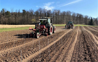 Zwei Traktoren arbeiten parallel auf einem frisch gepflügten Feld unter blauem Himmel. Der Boden ist für die Bepflanzung vorbereitet, dünne Pfähle markieren die Reihen. Bäume säumen den Hintergrund.