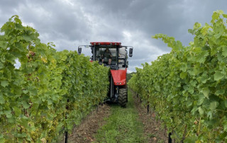 Ein roter Traktor fährt zwischen den Reihen grüner Weinstöcke in einem Weinberg unter einem bewölkten Himmel, auf dessen Boden Gras und Schmutz zu sehen sind.