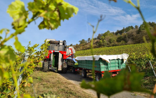 Ein roter Traktor mit grünem Anhänger ist auf einem Feldweg in einem Weinberg geparkt. Weinreben mit grünen Blättern rahmen den Vordergrund ein, und ein mit weiteren Weinreben bewachsener Hügel ist unter einem teilweise bewölkten Himmel zu sehen.