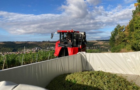 Eine rote Traubenerntemaschine sammelt an einem sonnigen Tag in einem Weinberg Trauben ein. Im Vordergrund ist ein Behälter mit geernteten grünen Trauben zu sehen, im Hintergrund sind sanfte Hügel und ein Dorf zu sehen.