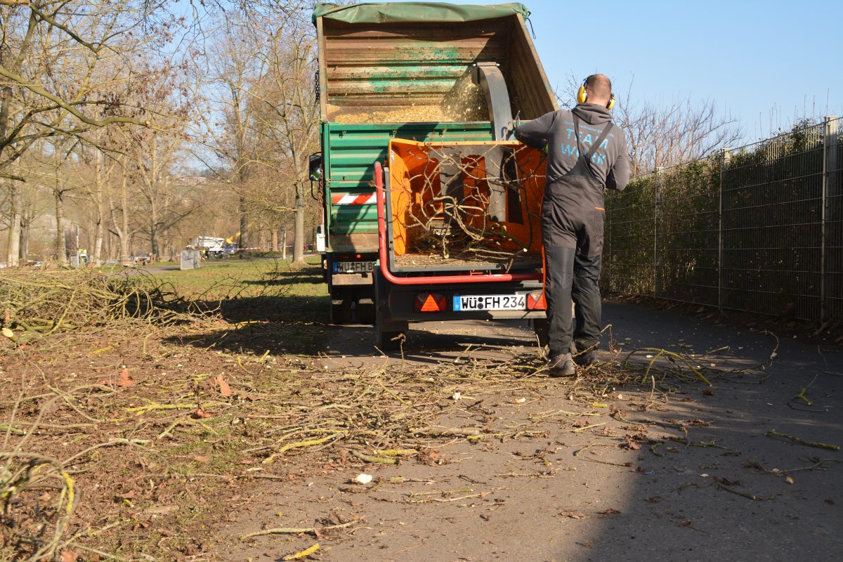 Ein Arbeiter führt Äste in eine Holzhackmaschine ein, die an einem grünen Lastwagen an einer von Bäumen gesäumten Straße befestigt ist. Abgeschnittene Äste und Abfälle liegen unter blauem Himmel auf dem Boden verstreut.