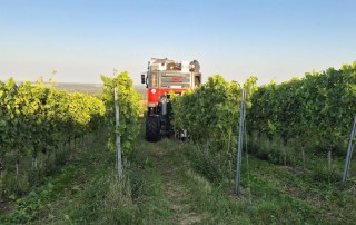 Eine rot-silberne Landmaschine fährt unter blauem Himmel zwischen den Reihen grüner Weinstöcke in einem Weinberg.