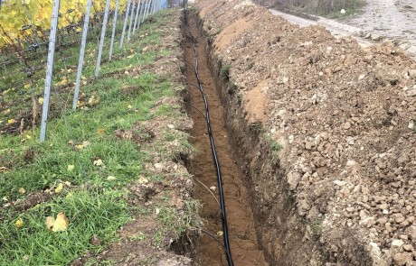 Ein schmaler Graben mit freiliegenden schwarzen Kabeln verläuft entlang eines Weinbergs mit Weinstöcken auf der linken Seite und Erdhügeln auf der rechten Seite in der Nähe eines Feldwegs.