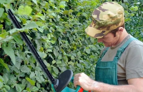 Ein Mann mit Tarnkappe und grünem Overall schneidet im Freien mit einer elektrischen Heckenschere eine belaubte Hecke.