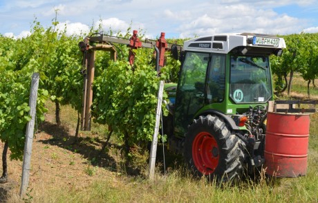 Ein grüner Traktor fährt an einem sonnigen Tag mit blauem Himmel und vereinzelten Wolken im Hintergrund zwischen den Reihen von Weinstöcken in einem Weinberg. Der Traktor scheint an den Reben zu arbeiten.