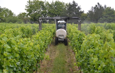 Ein Traktor mit angebauter Spritze fährt zwischen den Reihen grüner Weinstöcke in einem Weinberg, umgeben von üppigem Laub und Bäumen im Hintergrund.